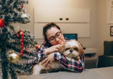 Para prevenir enfermedades y riesgos a la salud de perros, gatos y otras especies domésticas durante el invierno, la Secretaría de Seguridad Ciudadana de la Ciudad de México (SSC-CDMX) emitió una serie de recomendaciones.