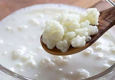 La diferencia entre yogur y kéfir suele generar dudas, ya que ambos son productos lácteos fermentados que contienen probióticos y se consideran opciones saludables.