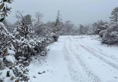 Se mantendrá la probabilidad para la caída de nieve o aguanieve en las sierras de Sonora, Chihuahua, Sinaloa (norte) y Durango.