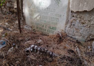 Restos humanos yacentes tras la destrucción de criptas en el cementerio colonial de Parras.