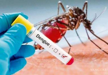 A pesar de la baja de temperaturas, los contagios de dengue se mantuvieron elevados durante todo el 2024.