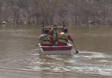 Se sospecha que los reptiles fueron abandonados en el cuerpo de agua de manera ilegal.
