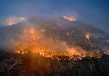 Autoridades han identificado al menos 95 incendios forestales activos en el país, el número más alto en lo que va del año.