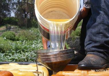 A nivel nacional, Coahuila ocupa el séptimo lugar en la incidencia de estas actividades ilícitas, que generan pérdidas significativas para Petróleos Mexicanos.