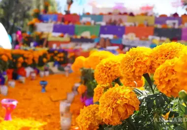 El Día de Muertos 2026 se acerca, y con él surge una de las preguntas más frecuentes: ¿cuándo llegan los difuntos a las ofrendas?