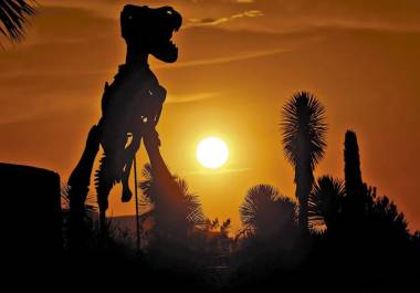 Desde el desierto más famoso de México hasta pueblos con tradición vinícola, Coahuila guarda historias, paisajes y récords que muchos desconocen