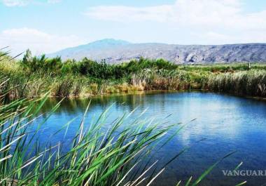 Hay ofertas para navegar en kayak o nadar junto a las tortugas de concha blanda, sin considerar el daño que esto puede causar al ecosistema.