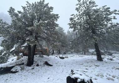 Se mantendrán condiciones para la caída de nieve o aguanieve en las sierras de Sonora, Chihuahua, Sinaloa (norte) y Durango