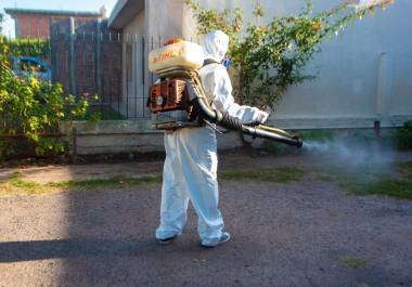 Brigadas de salud realizan fumigación en colonias con mayor presencia del mosquito transmisor.