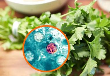 Scott Gottlieb, aseguró que el cilantro y el perejil provenientes del centro de México figuran entre los productos que podrían estar relacionados con los contagios.