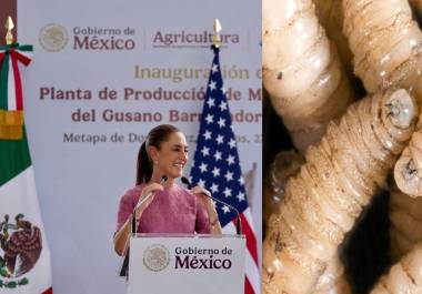 México y Estados Unidos inauguran planta para prevenir propagación del gusano barrenador