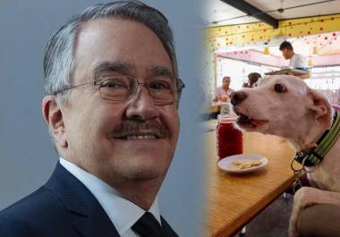 Un video de 2022 volvió a colocar a Pedro Sola en el centro de la controversia tras mostrarlo proponiendo cortar las cuerdas vocales a los perros.