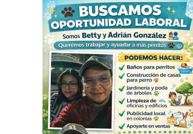 Entre sus habilidades, mencionan experiencia en el manejo de animales y construcción de casas para perro, además de otras actividades generales.