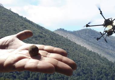 Reforestación con dron: el proyecto piloto que busca revivir la Sierra de Arteaga