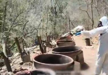 Autoridades federales localizaron tres laboratorios clandestinos en Los Haros y Los Cedritos, Sinaloa, con afectación de 923 mdp al crimen.
