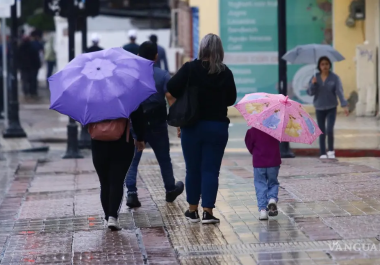 Las lluvias de 2024 rompieron una tendencia a la baja en el último sexenio, sin embargo, la tendencia histórica se perfila a la baja.