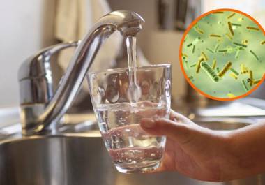 Aunque muchas personas la utilizan a diario, el agua de la llave puede contener microorganismos y contaminantes que representan riesgos para la salud si no recibe el tratamiento adecuado.