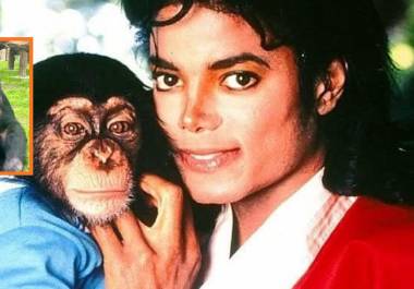 ¿Qué pasó con Bubbles Jackson?