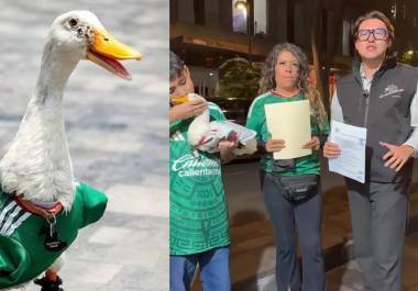 El Pato Merlín se convierte en una marca protegida: tendrá representante, podrá firmar contratos y generar ingresos con actividades comerciales.VANGUARDIA/ARCHIVO