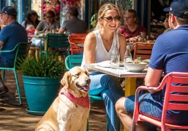 Complejos como Parque Centro y Paseo Villalta han adecuado sus instalaciones al aire libre para responder a la creciente demanda de espacios integrales para mascotas.