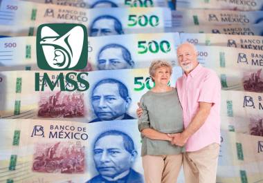 Según con los datos oficiales del Instituto Mexicano del Seguro Social (IMSS), gran parte de los pensionados bajo este esquema tienen derecho a recibir el aguinaldo