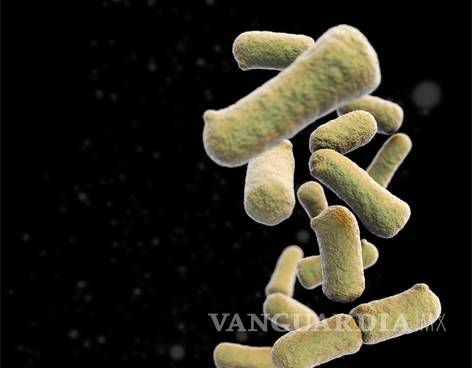 Bacteria espacial ayudaría a proteger humanos