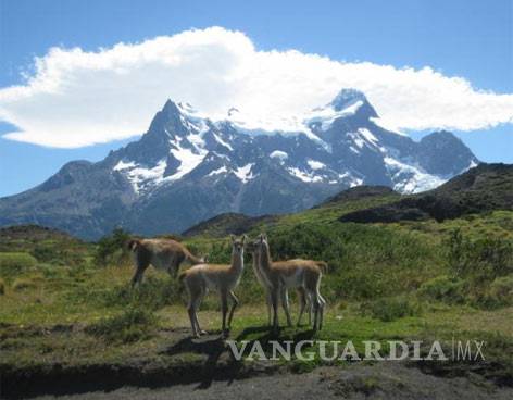 Aprueban en Chile construcción de hidroeléctricas que inundarán miles de hectáreas de Patagonia