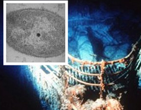 Hallan nueva bacteria en restos de Titanic