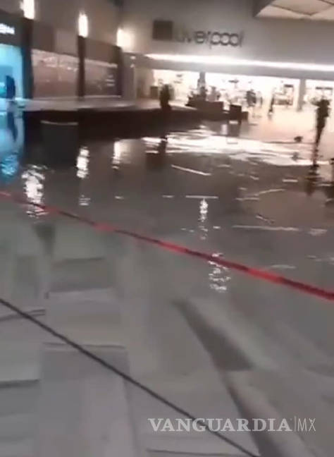 $!Lluvia tumba árboles e inunda centro comercial de Monclova