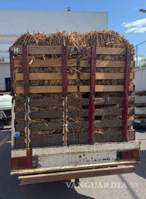 Cae hombre con 200 kilos de enervante oculto entre pacas de paja, en Nuevo León