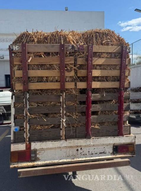 $!La droga estaba contenida en 11 paquetes y arrojó un peso de unos 200 kilos, especificó la FGR.