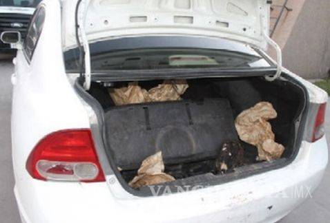 Trafican águilas rojinegras en peligro de extinción