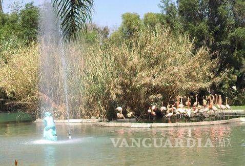 $!Zoológico Guadalajara, 50 hectáreas de pulmón verde