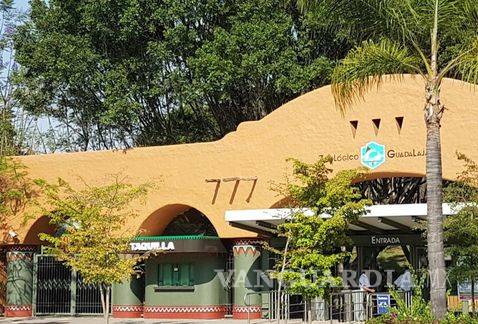 $!Zoológico Guadalajara, 50 hectáreas de pulmón verde
