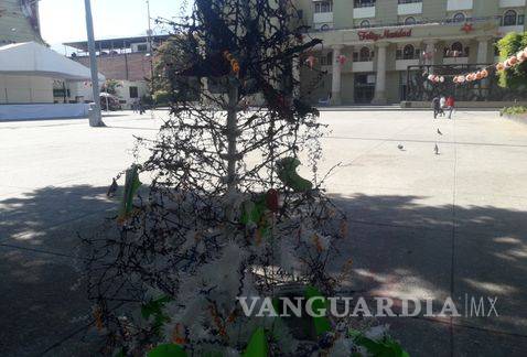 Queman árbol con imágenes de los 43 normalistas
