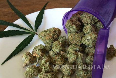 Uso recreativo de la marihuana será legal en el estado de California a partir del 1 de enero, pero no en la frontera