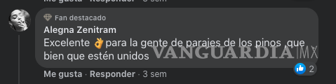 $!¿Los Vengadores? Vecinos de Ramos y Saltillo atrapan a tres ladrones....