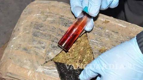 $!En Coahuila, la mariguana sigue siendo una de las drogas más incautadas mes con mes.