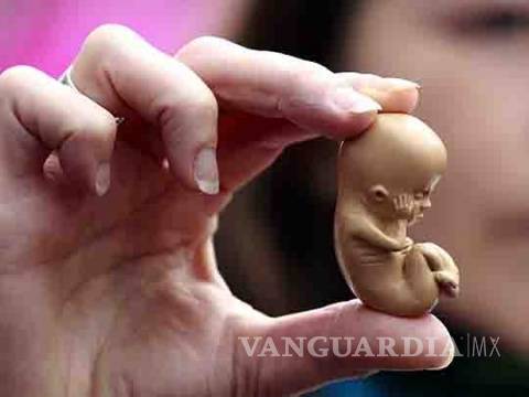 $!Científico de la UNAM afirma que un embrión no es una persona