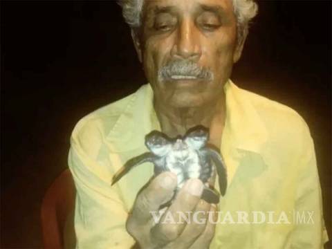 $!Encuentran tortuga de dos cabezas en Michoacán