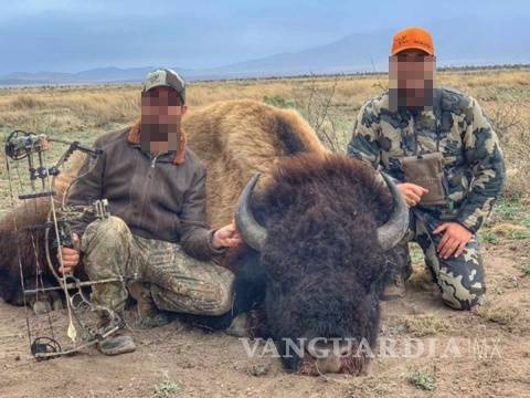 $!Cazar bisontes en Coahuila cuesta 153 mil pesos