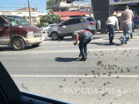 $!Reportan 11 narcobloqueos en Reynosa, Tamaulipas