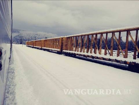 $!Tren con 183 pasajeros queda varado en la nieve por casi 2 días