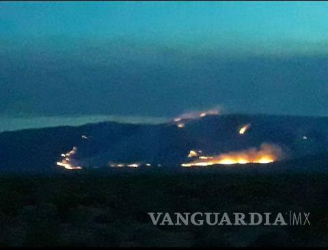 $!Incendio forestal consume sierra de Ocampo, Coahuila