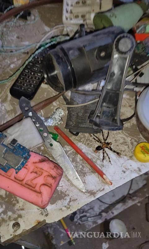 $!Autoridades de Saltillo destruyeron cuevas en Diana Laura y Nueva Jerusalén, utilizadas como escondites para armas hechizas y vigilancia.