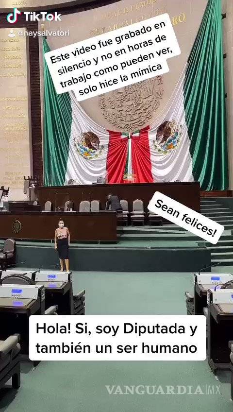 $!Tunden a diputada Nayeli Salvatori por hacer un TikTok ¡en la Cámara de Diputados!