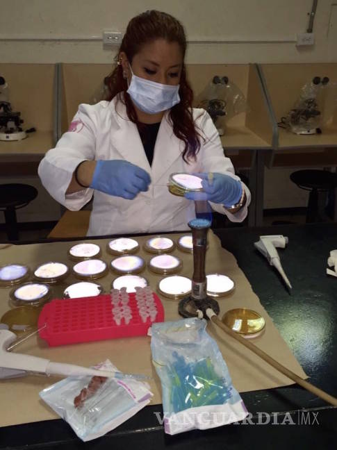 $!Investigadores de la UAdeC crean una goma dulce para combatir enfermedades dentales