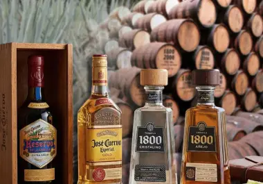 La peor parte se la lleva José Cuervo, el mayor productor de tequila del mundo, cuyas acciones acabaron este 15 de septiembre en 14.31 pesos en la Bolsa Mexicana de Valores (BMV) y arrastran una minusvalía de 30.5% en este 2026.