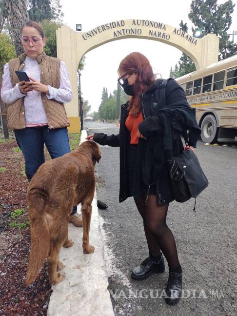 $!Dentro de las exigencias de los alumnos se encontraba también que la Rectoría pagara los gastos de liberación de los 15 canes asegurados.