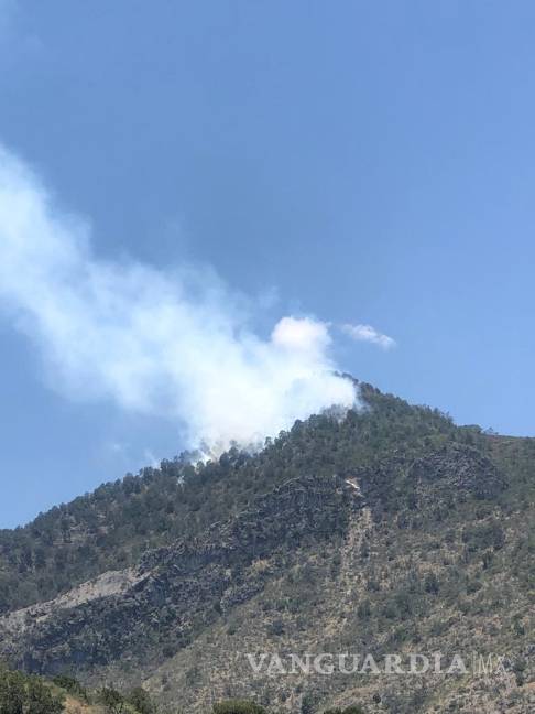 $!Autoridades expresaron que las brigadas de combate comenzarán este jueves a las 6:00 de la mañana.